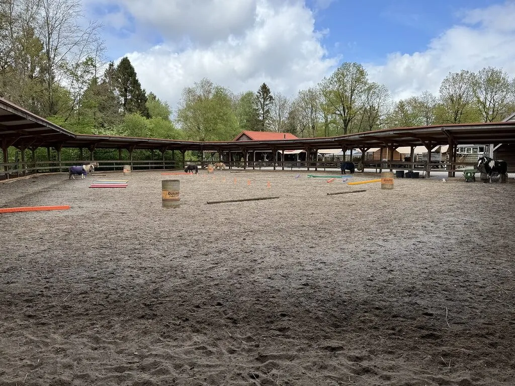 Ferienhaus im Landal Park Het Land van Bartje in den Niederlanden