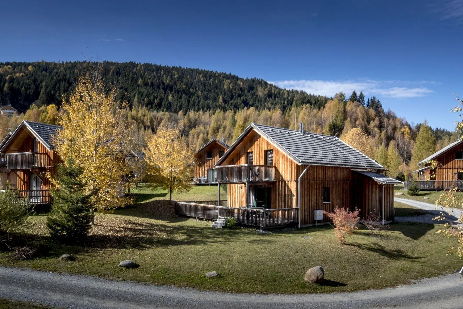 Resortchalets in Landschaft mit Tannenwald und Bergkulisse
