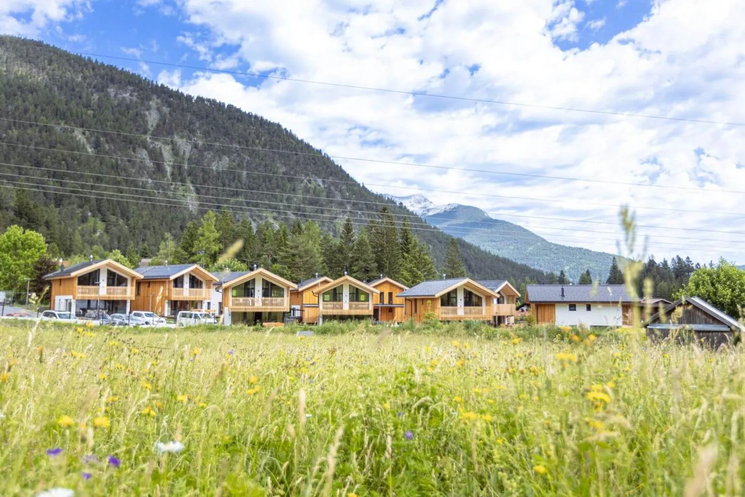 Mehrere moderne Alpenchalets in bergiger Landschaft mit Blumenwiese