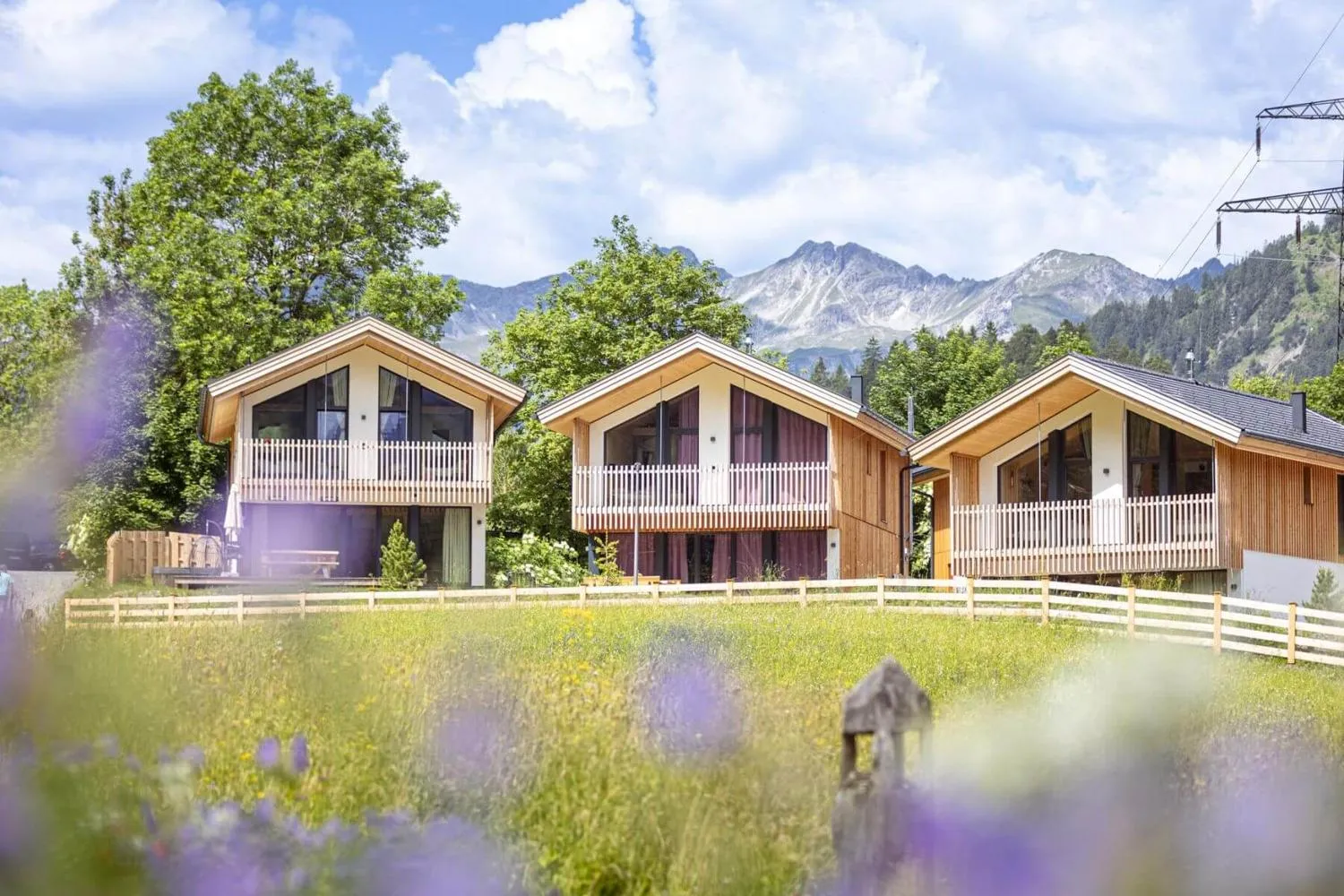 Drei moderne Alpenchalets mit weißen Balkonen vor Blumenwiese und Bergpanorama
