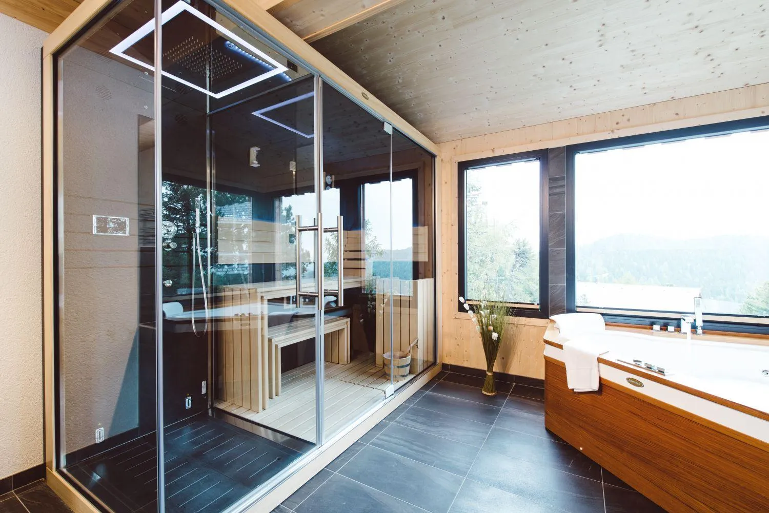 Spa-Bereich mit Glassauna, Badewanne und Waldpanorama