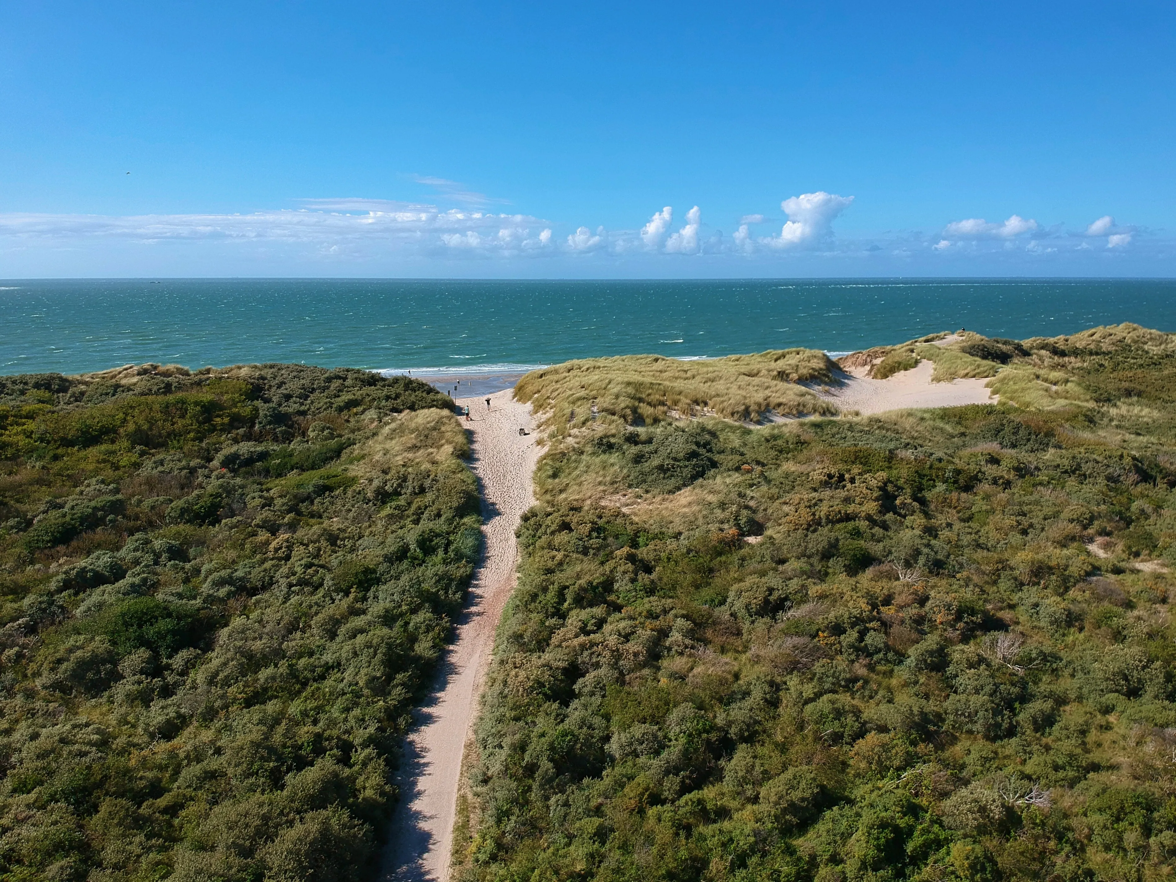 Sandweg durch die bewachsenen Dünen zum Strand an der Nordsee