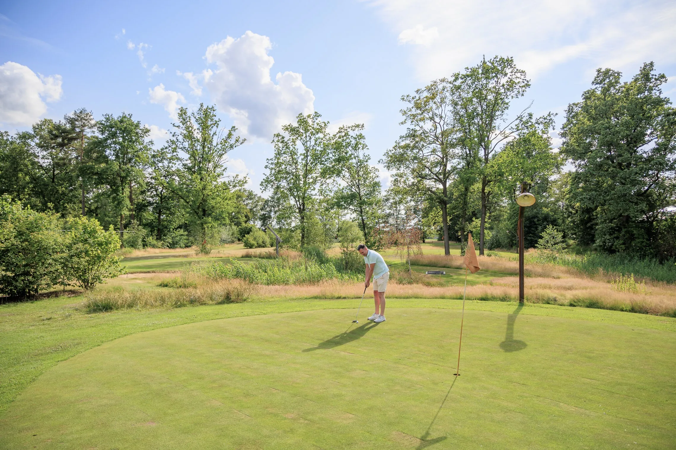 Golfspieler beim Putten auf einem Grün mit Fahne, umgeben von hohen Gräsern und Bäumen