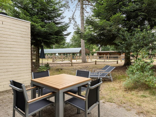 Pony-Ferienhaus