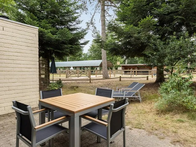 Pony-Ferienhaus