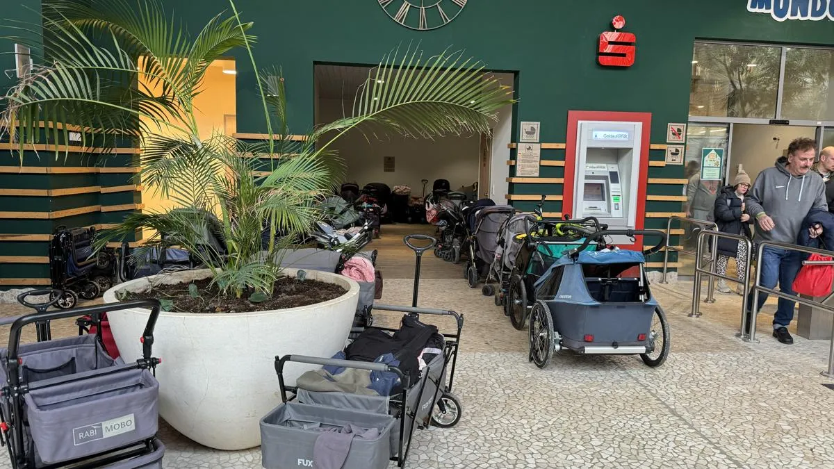 Eingangsbereich mit grüner Wand, Palmen und mehreren Kinderwagen