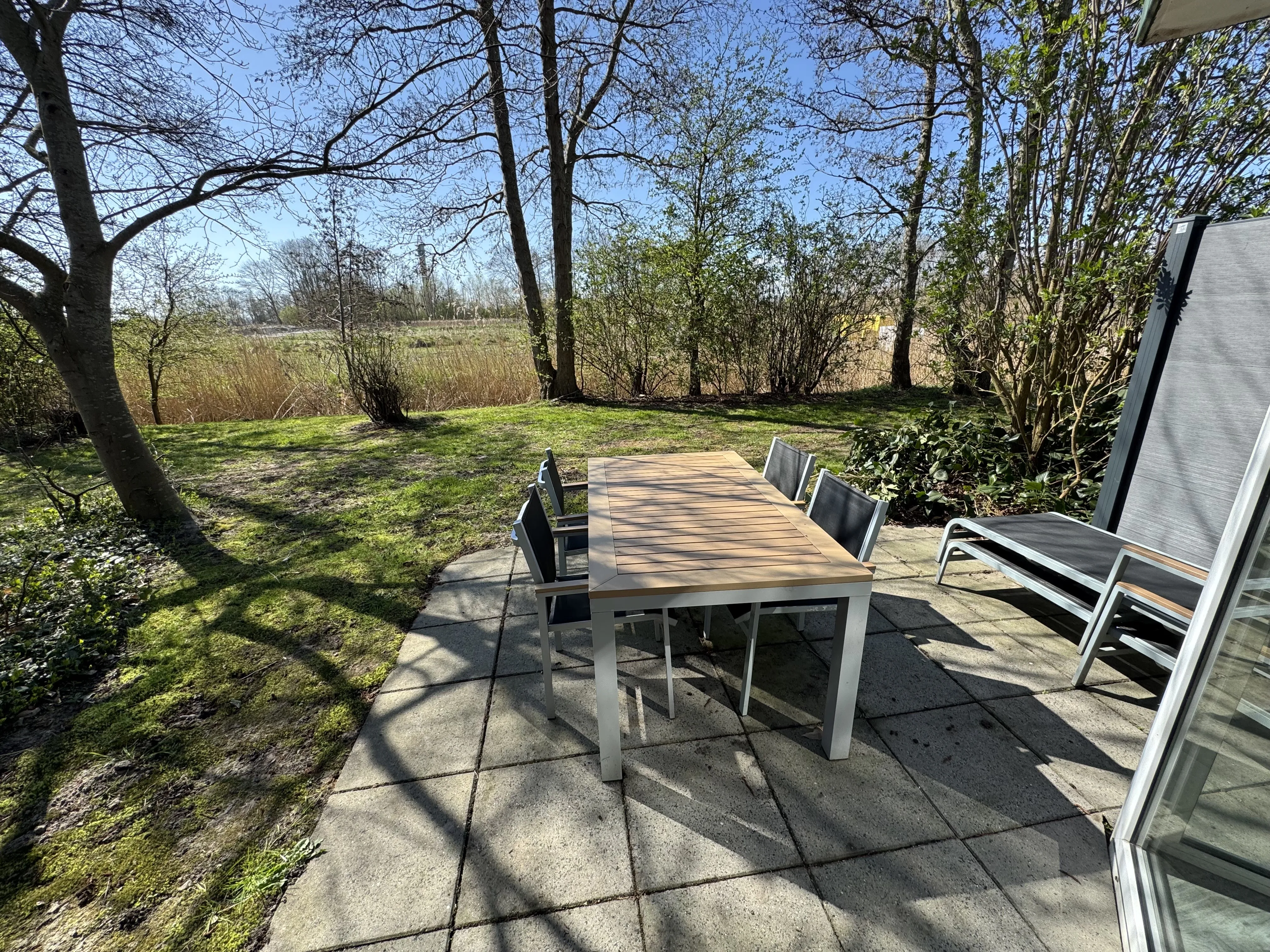 Premium-Ferienhaus Terrasse mit Blick auf Schilfwiese