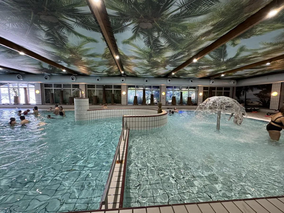 Das Schwimmbad im Center Parcs Parc Sandur auf einen Blick