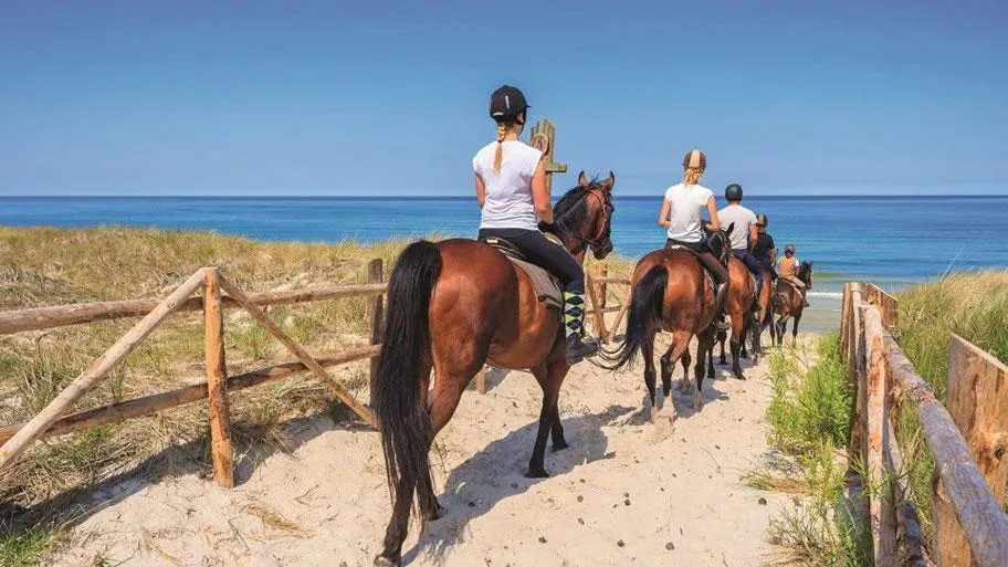 Mehrere Reiter auf Pferden auf Sandweg zwischen Dünen und Strand
