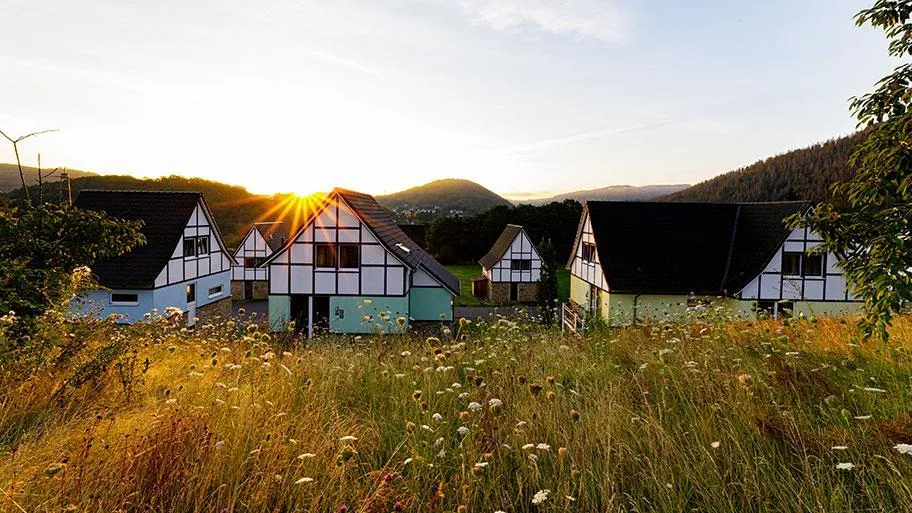 Fachwerk-Dorf mit Wildblumenwiese und goldenem Sonnenuntergang in der Eifel