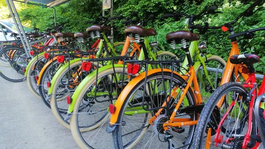 Fahrradverleih mit orange und grünen Rädern unter Laub