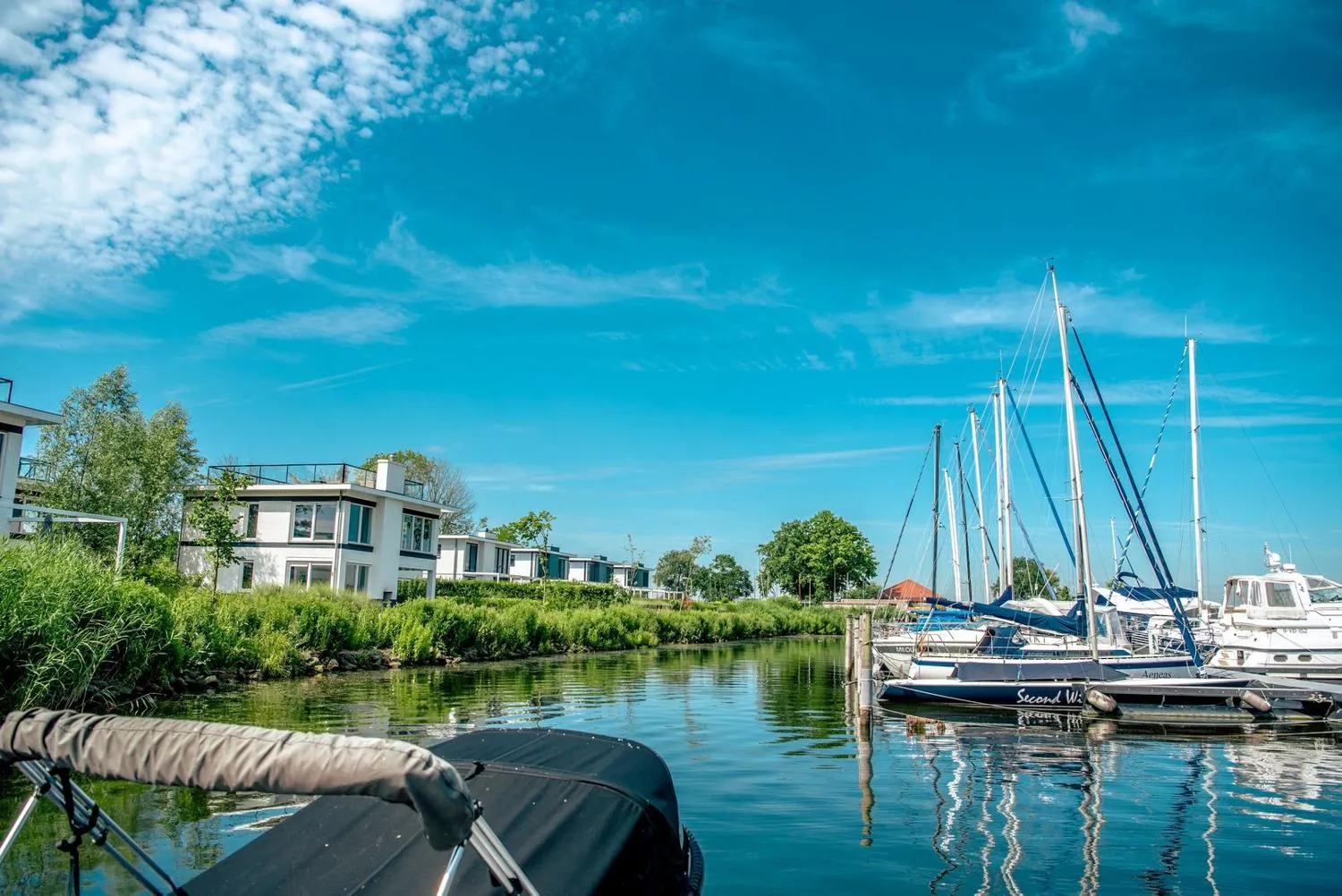 Modernes Ferienhaus am Wasser mit Weiden und Schilfvegetation