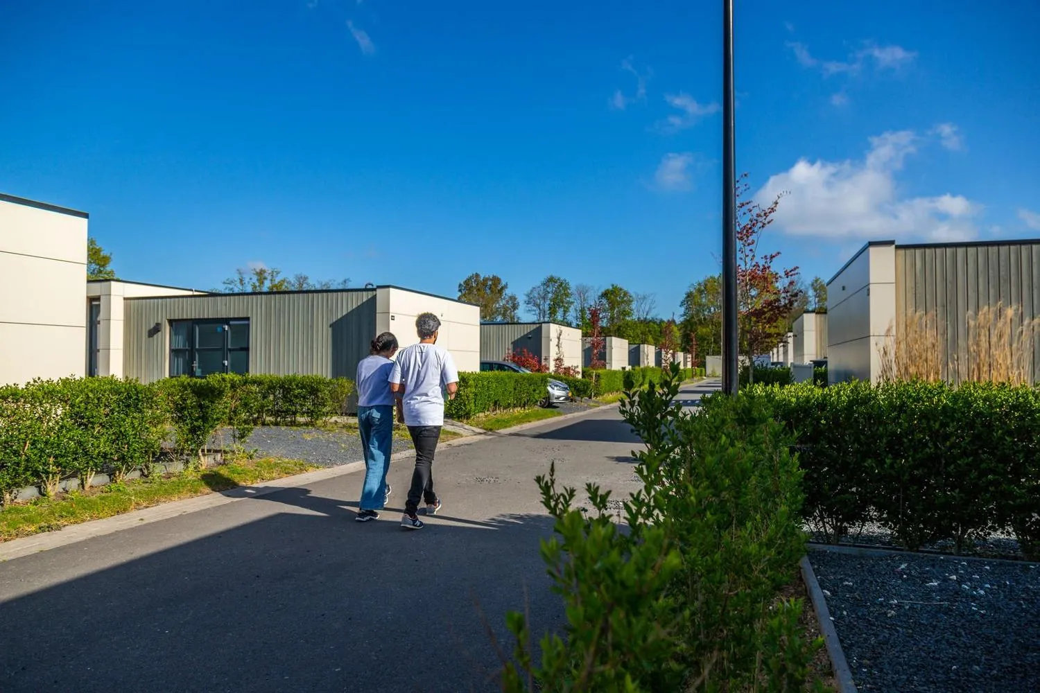 Straße zwischen modernen Chalets mit grünen Hecken beiderseits