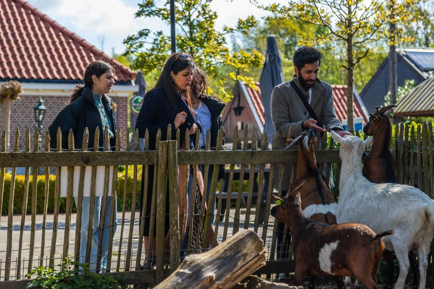 Besucher füttern Ziegen am Streichelgehege des Ferienparks