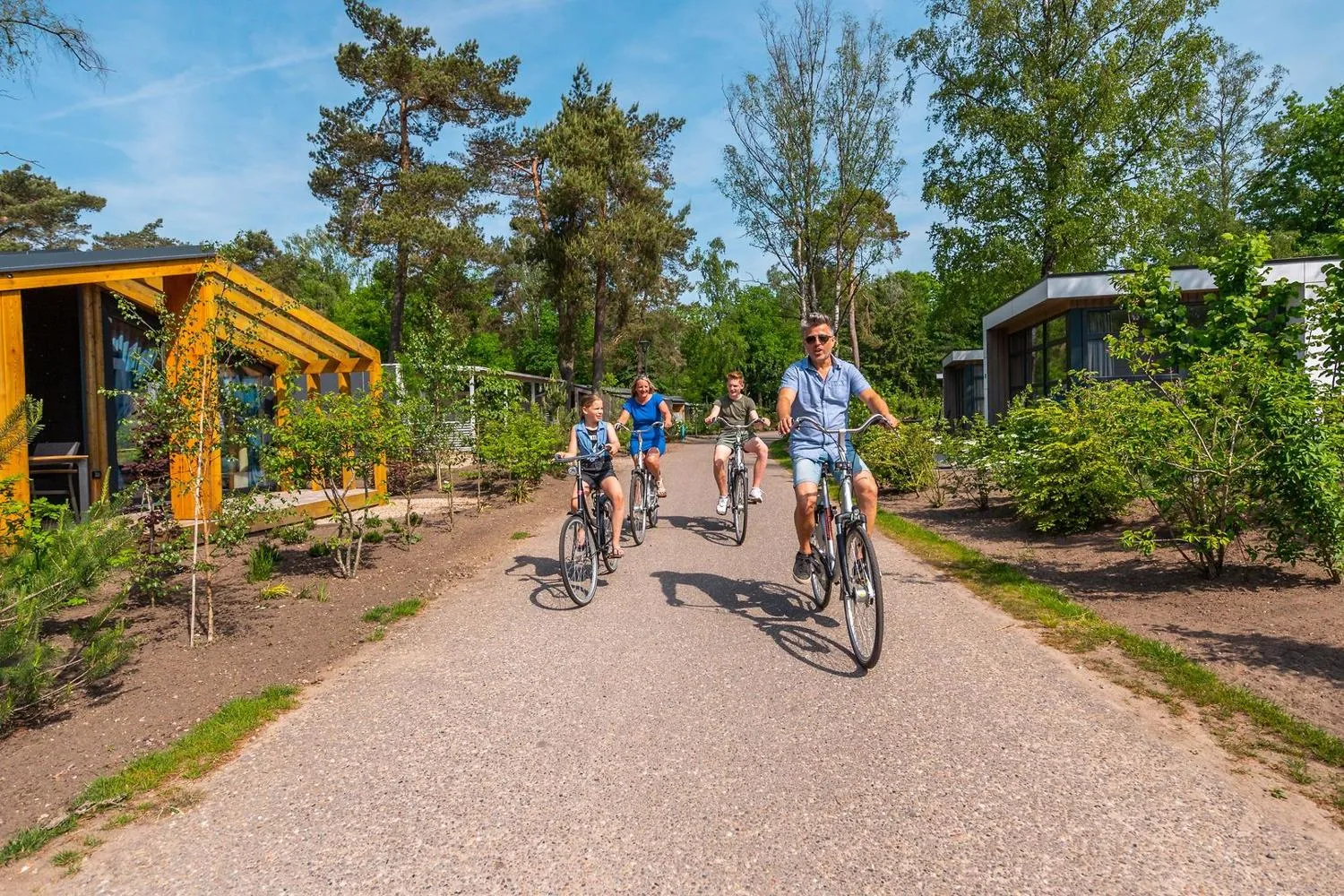 Parkweg mit modernen Ferienhäusern und Wald, Kiesbelag mit Bäumen