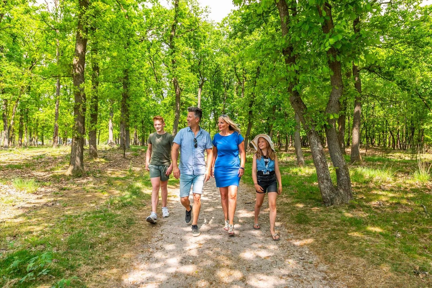 Waldweg mit dicht baumbestandenem Laubwald, Spazierpfad zwischen alten Bäumen