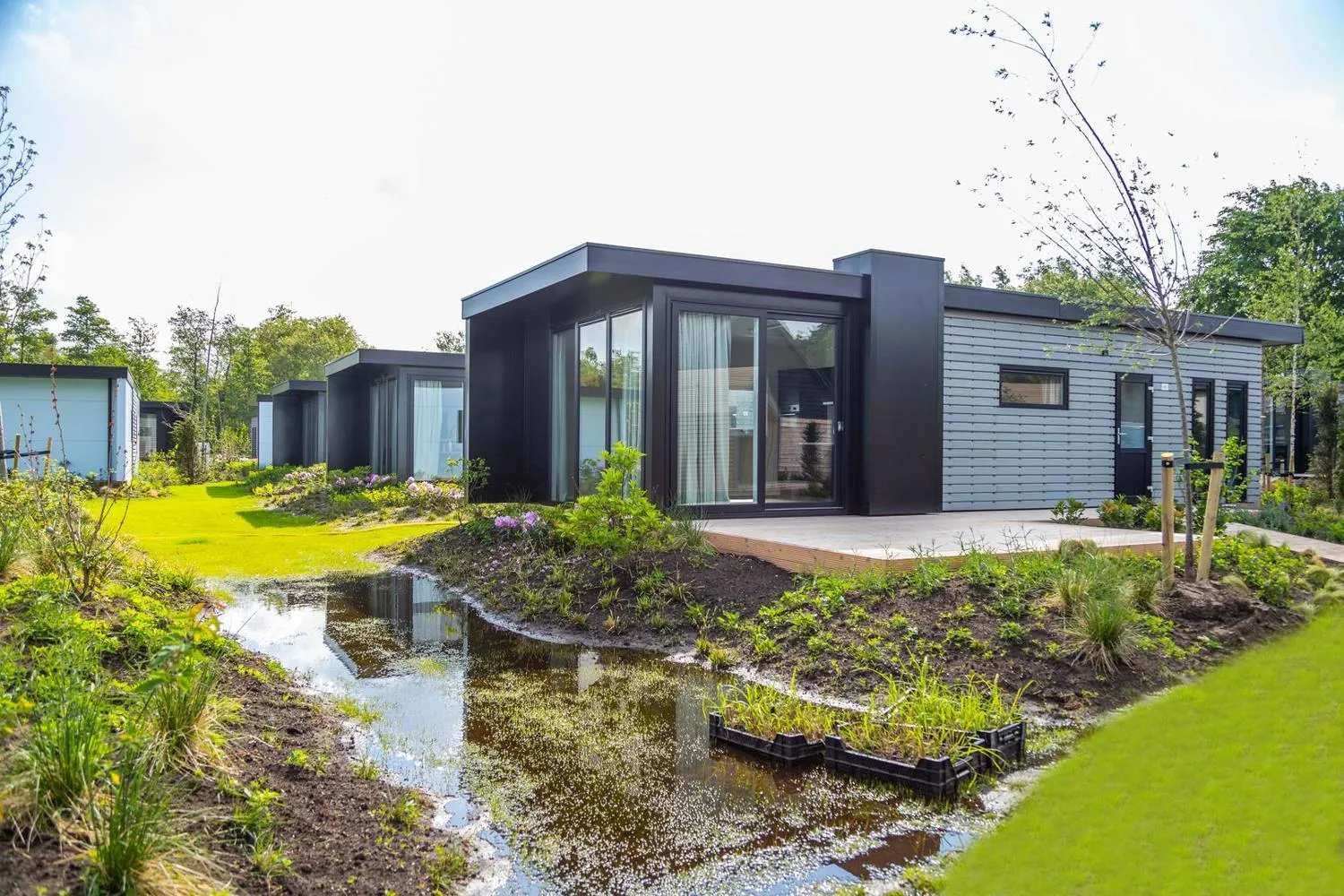 Reihe moderner Ferienhäuser mit Glasfronten und Bäumen