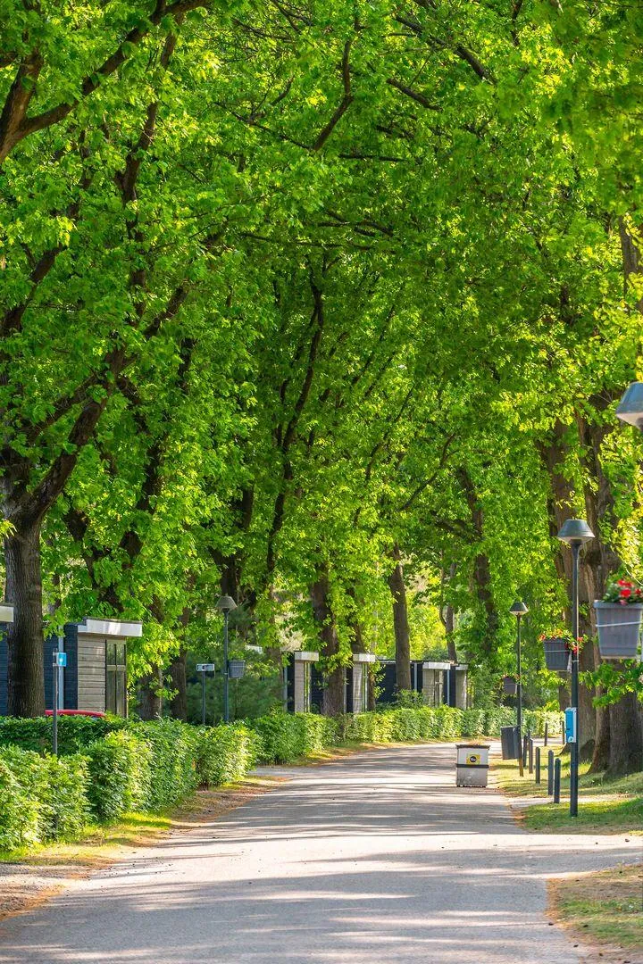 EuroParcs De Zanding in Otterlo, Gelderland – Bild 5