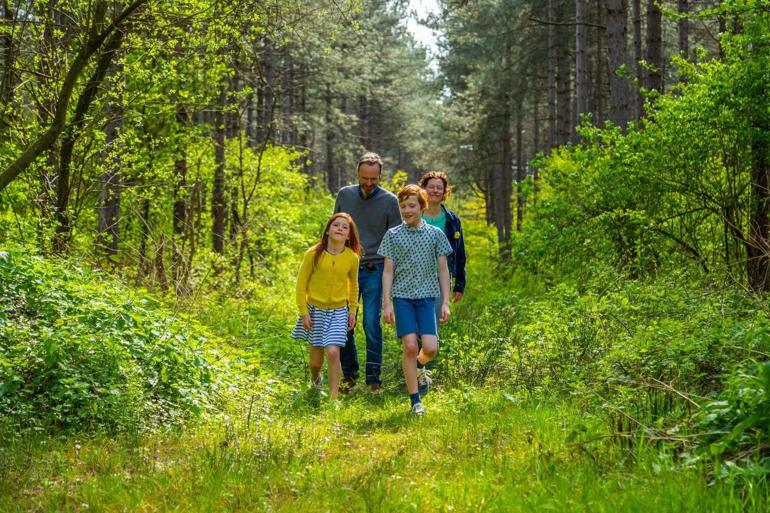EuroParcs Hoge Kempen in Zutendaal, Flandern - Bild 13