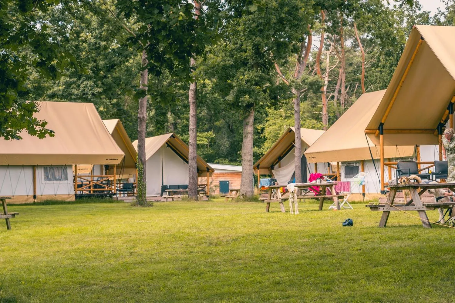 EuroParcs Reestervallei in IJhorst, Overijssel – Bild 14