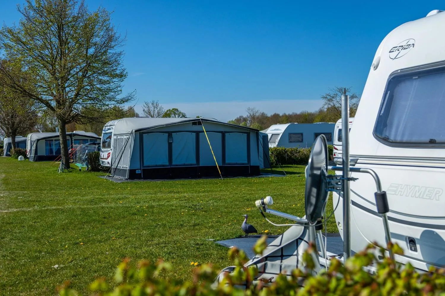 EuroParcs Zuiderzee in Biddinghuizen, Flevoland – Bild 10
