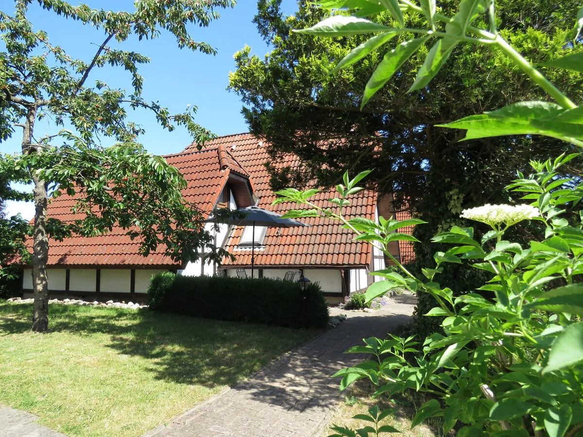 Reetdach-Fachwerkhaus zwischen Bäumen im Feriendorf Altes Land