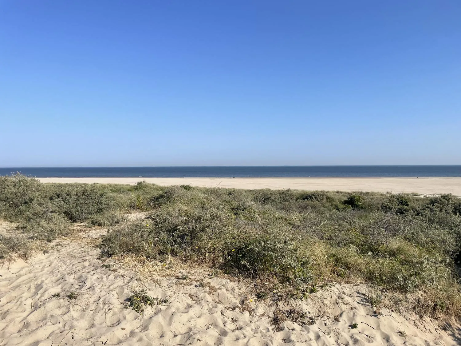 Ferienpark Ridderstee in Ouddorp, Südholland – Bild 8