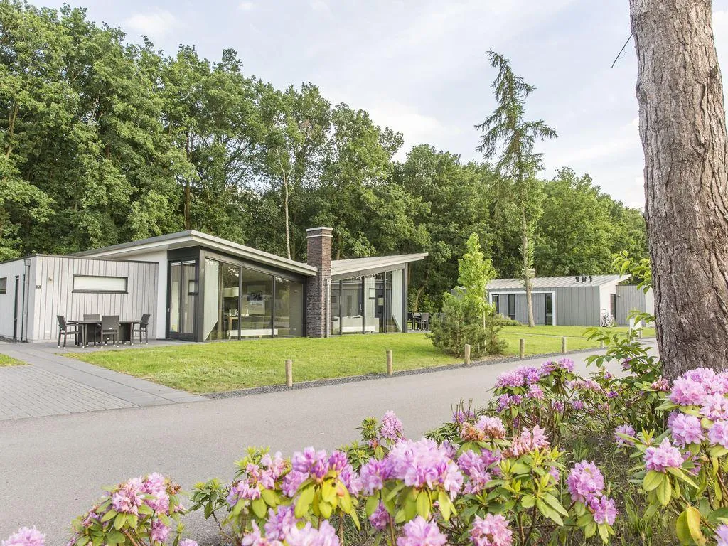 Landal Amerongse Berg in Overberg, Utrecht - Bild 8