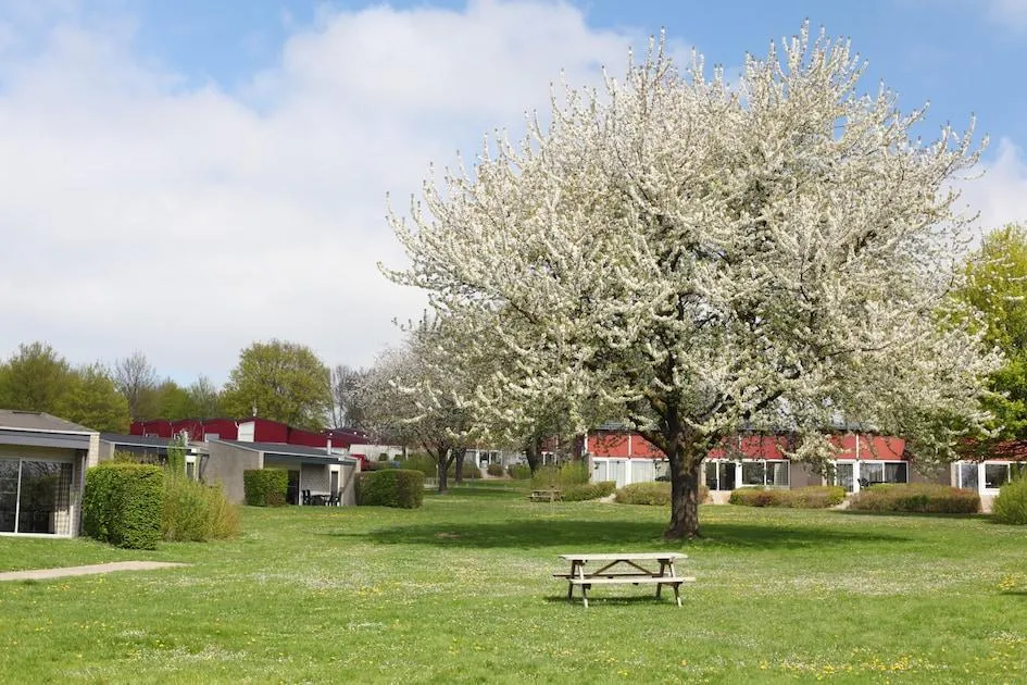 Landal Bungalowpark Schin op Geul in Walem, Limburg – Bild 7