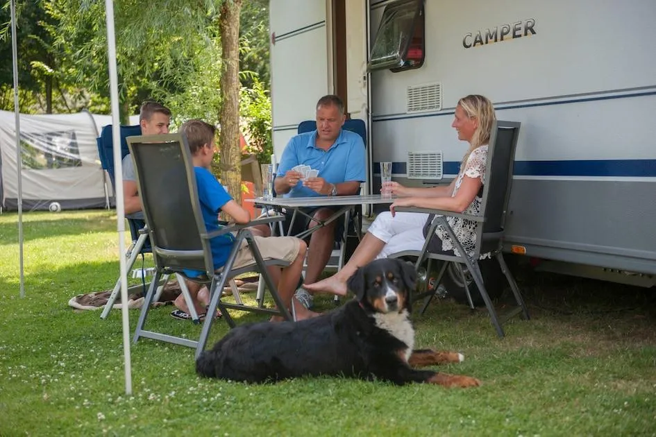 Landal Camping Dishoek in Dishoek, Zeeland – Bild 4