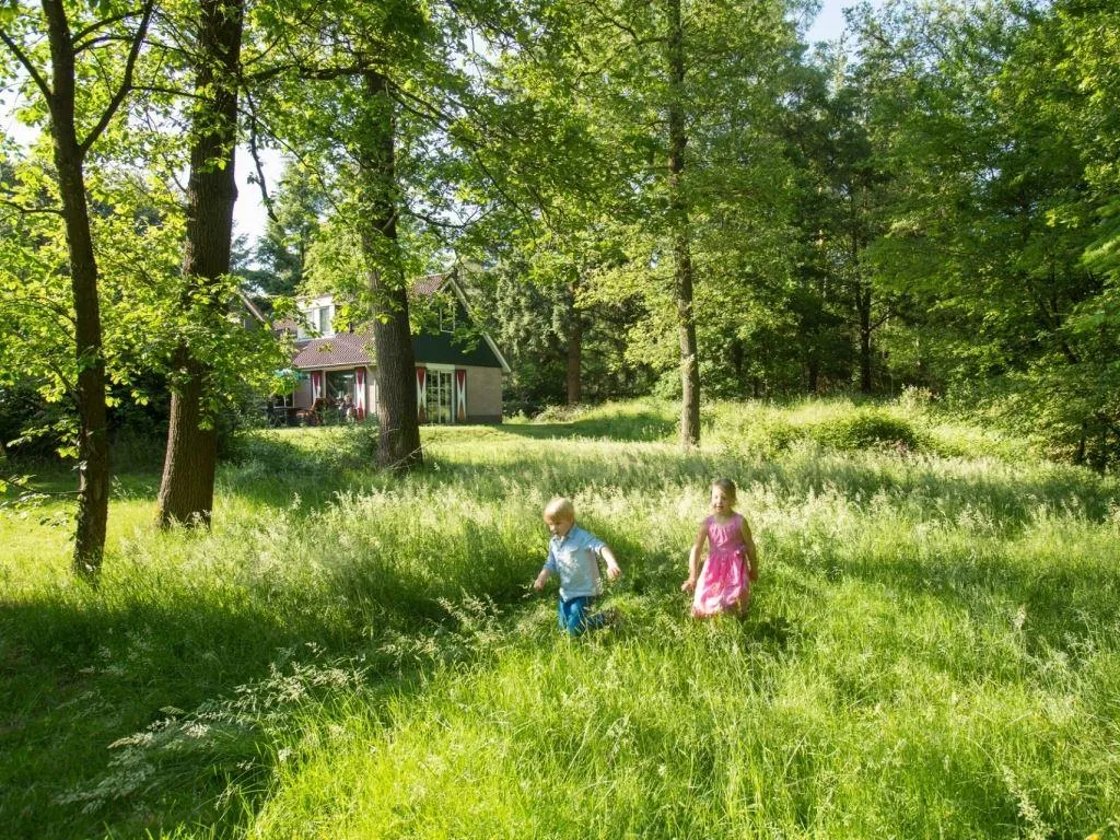 Landal Coldenhove in Eerbeek, Gelderland – Bild 1