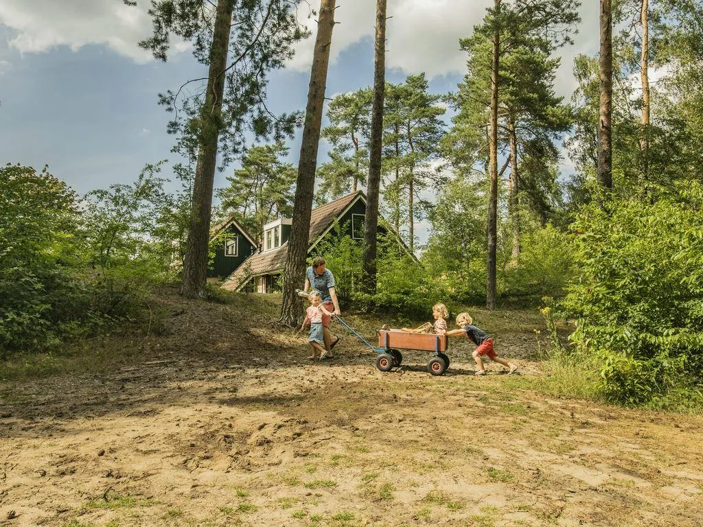 Landal Coldenhove in Eerbeek, Gelderland – Bild 3