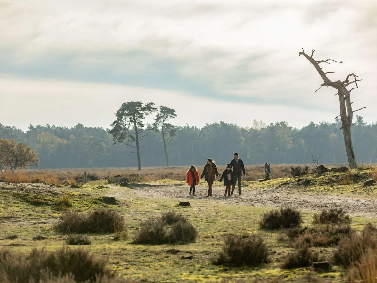 Landal Duc de Brabant in Diessen, Nordbrabant – Bild 13