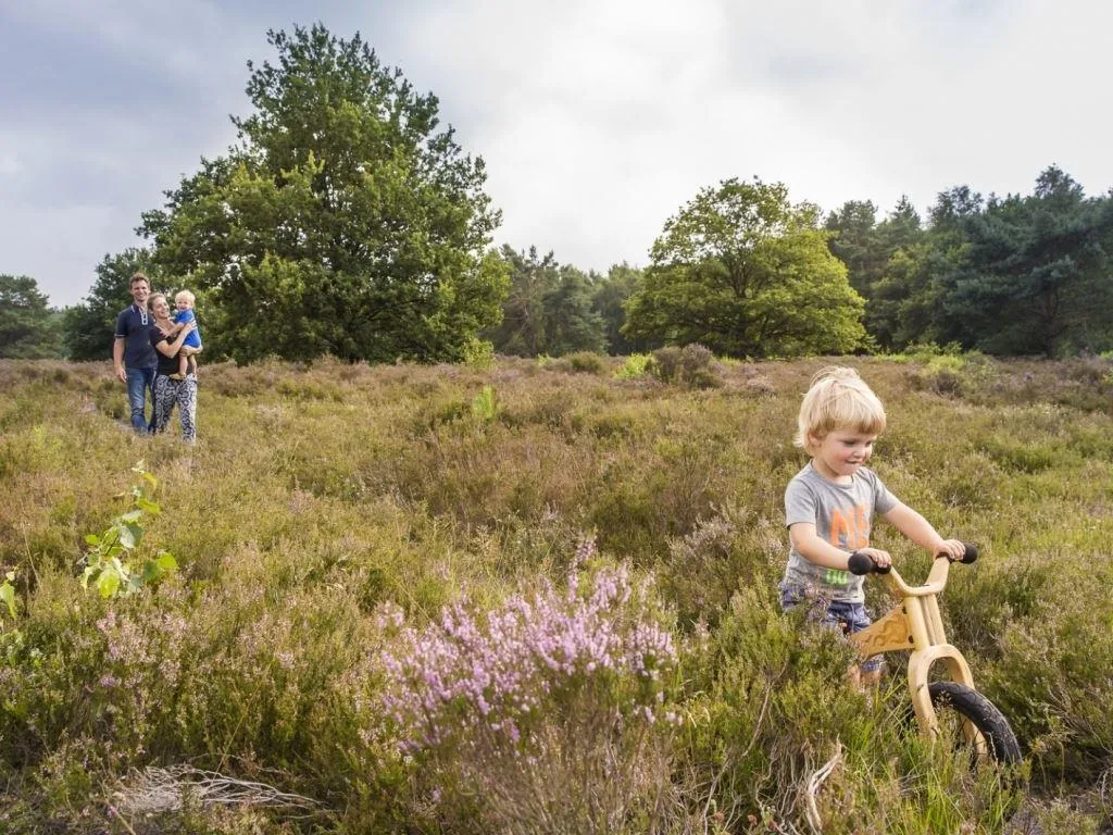Buytenplaats Gooise Heide in Huizen, Nordholland – Bild 7