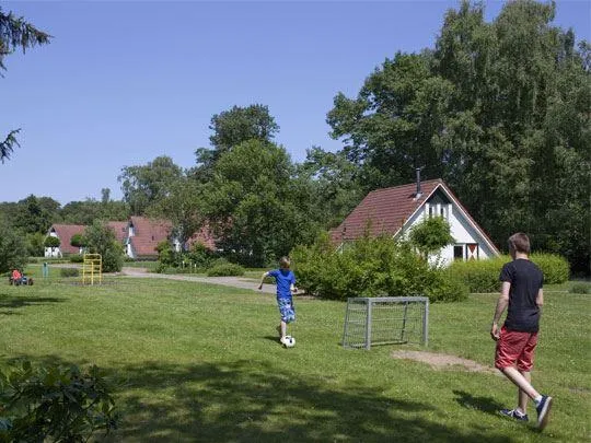 Landal Landgoed Aerwinkel in Posterholt, Limburg – Bild 7