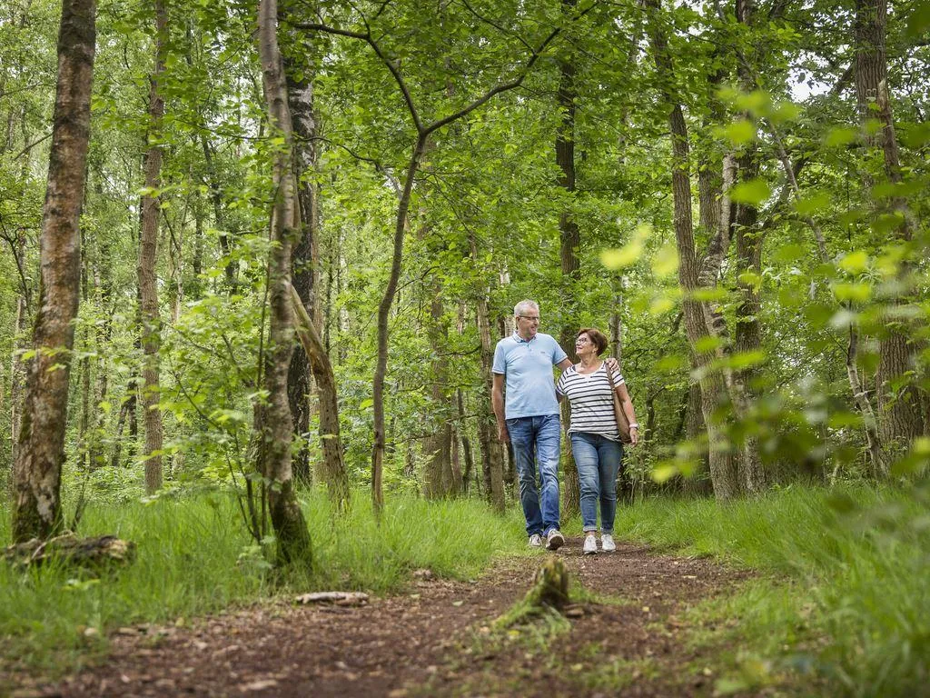 Landal Landgoed De Elsgraven in Enter, Overijssel - Bild 7