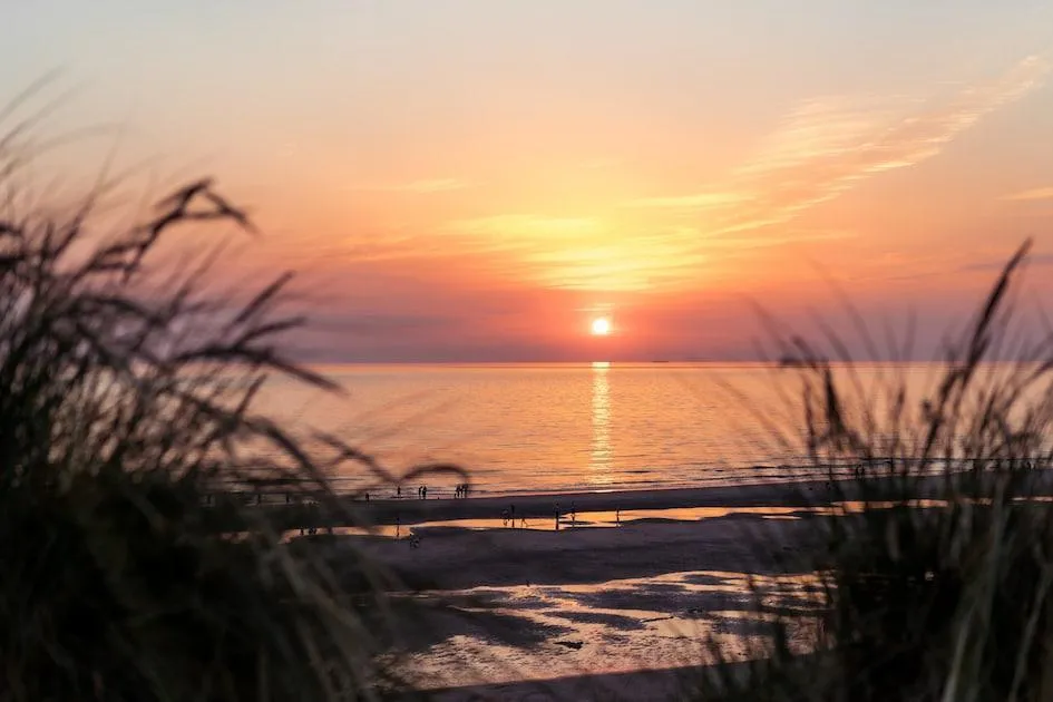 Landal Ameland in Hollum, Nordseeinseln – Bild 11