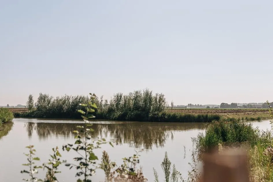Landal Park Veerse Kreek in Wolphaartsdijk, Zeeland – Bild 10