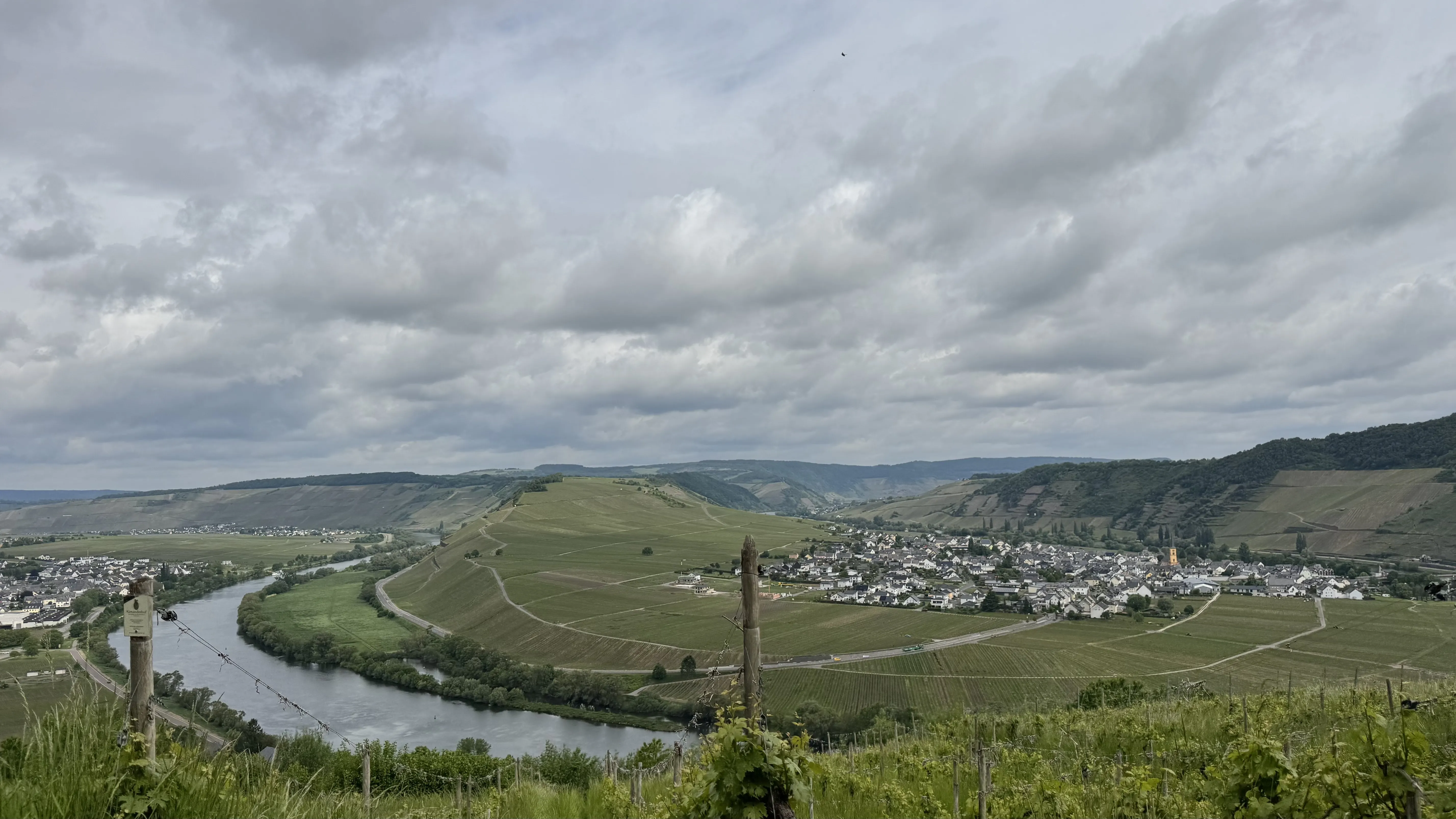 Aussicht vom Plateau des Landal Sonnenberg auf die Moselschleife bei Leiwen