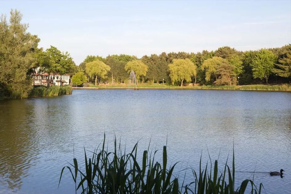 Landal Weerterbergen in Weert, Limburg – Bild 11