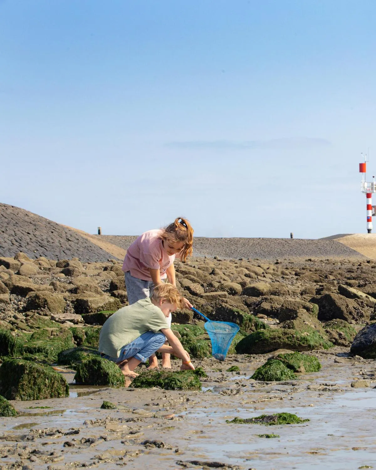 Landal West Terschelling in West-Terschelling, Friesland – Bild 8