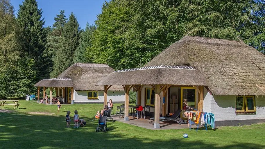 Molecaten Park De Leemkule in Hattem, Gelderland – Bild 4