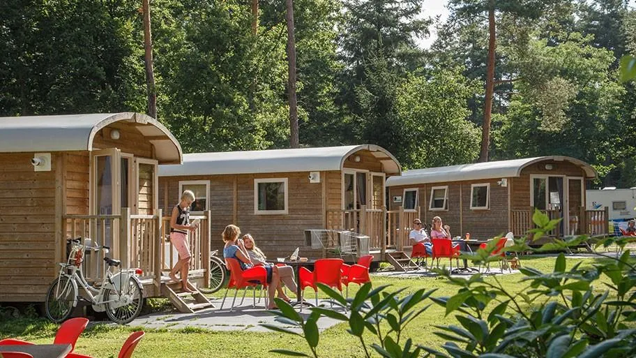 Molecaten Park De Leemkule in Hattem, Gelderland – Bild 5