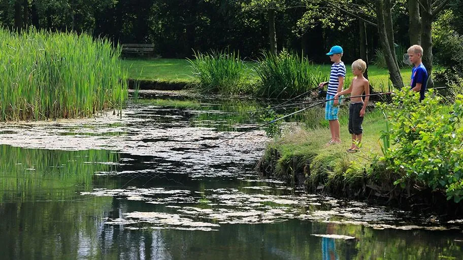 Molecaten Park Het Landschap in Wateren, Drenthe – Bild 7