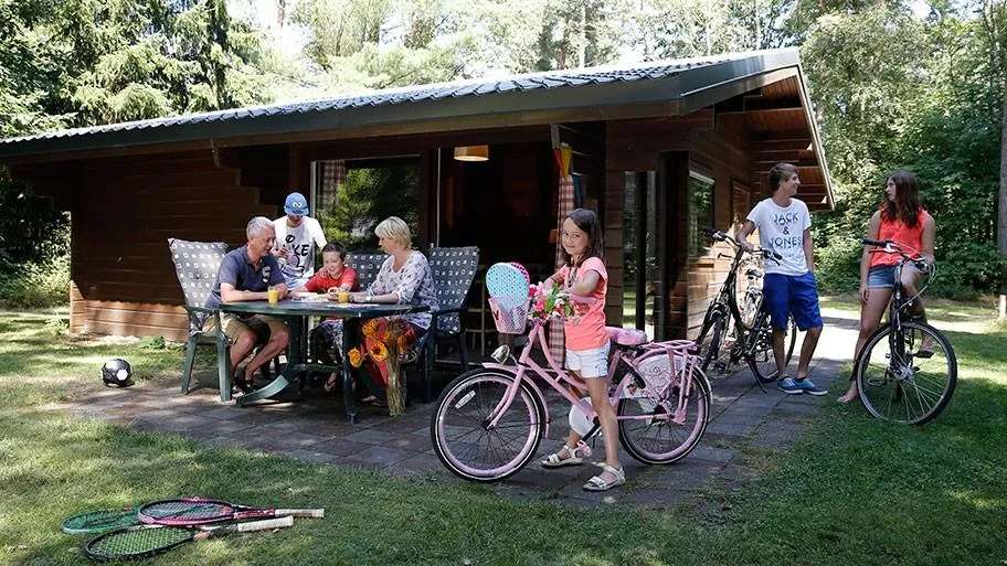 Molecaten Park Landgoed Ginkelduin in Leersum, Utrecht - Bild 2