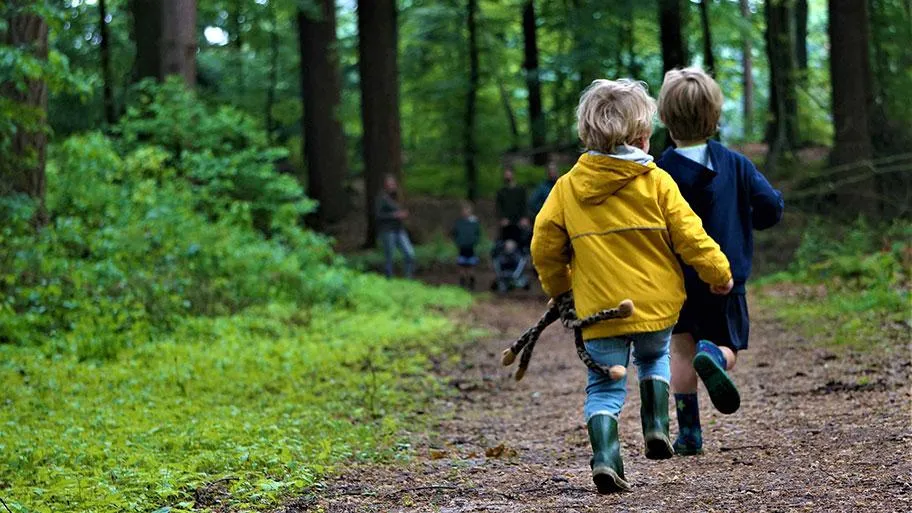 Molecaten Park Landgoed Molecaten in Hattem, Gelderland – Bild 11