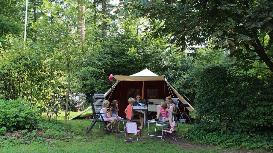 Molecaten Park Landgoed Molecaten in Hattem, Gelderland – Bild 3