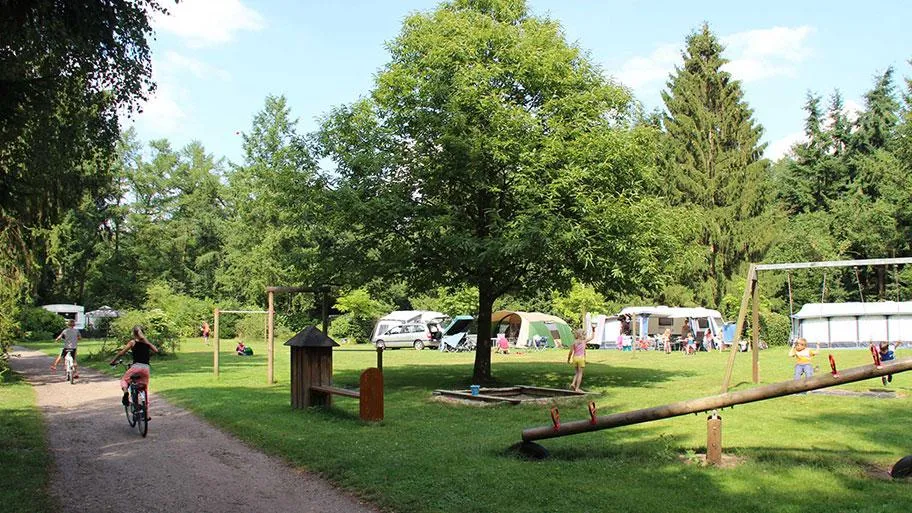 Molecaten Park Landgoed Molecaten in Hattem, Gelderland – Bild 6