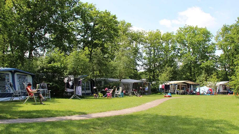 Molecaten Park 't Hout in Bakkeveen, Friesland – Bild 9