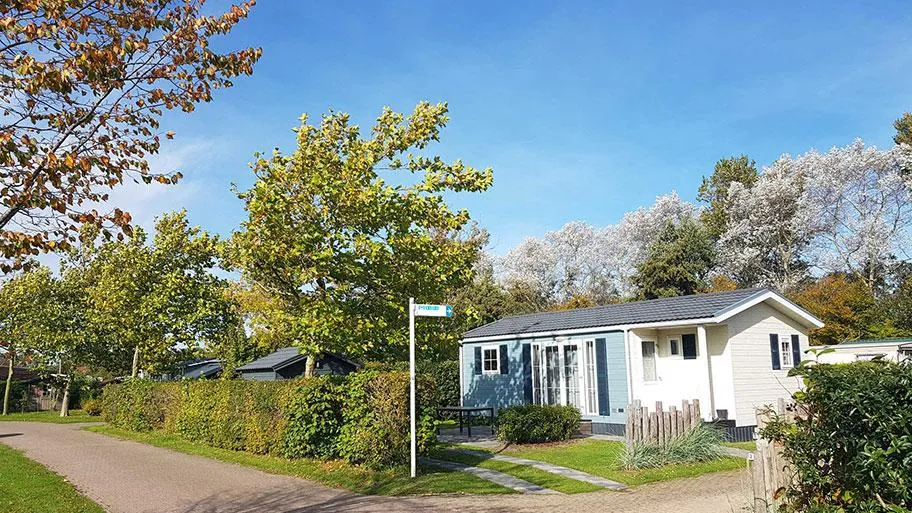 Molecaten Park Wijde Blick in Renesse, Zeeland – Bild 6